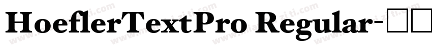 HoeflerTextPro Regular字体转换